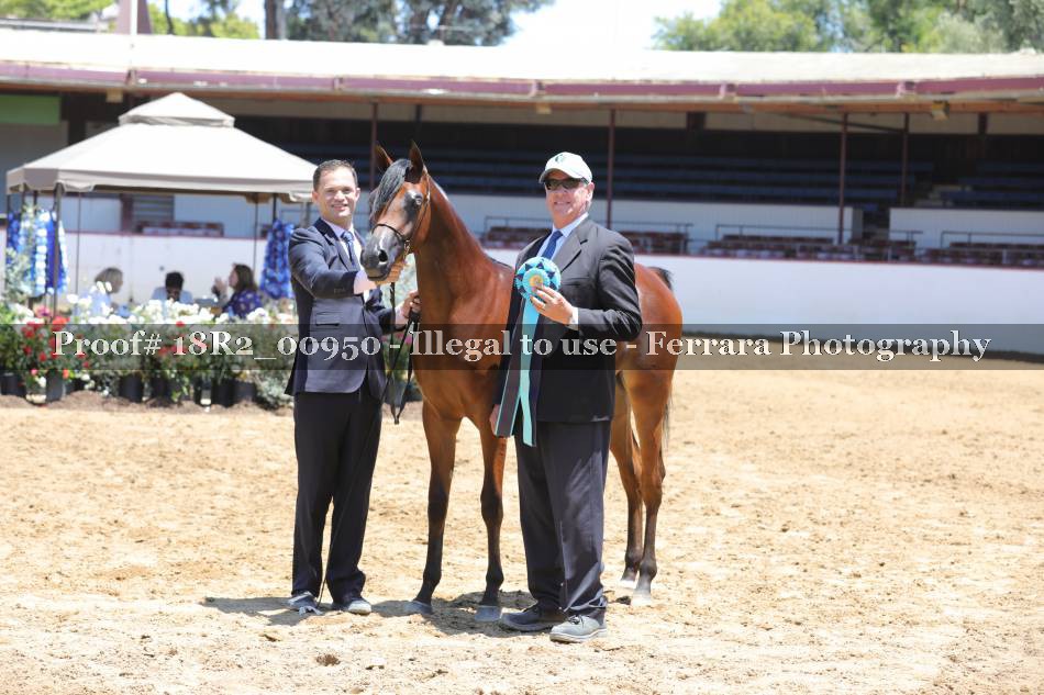 Proof 18R2_00950