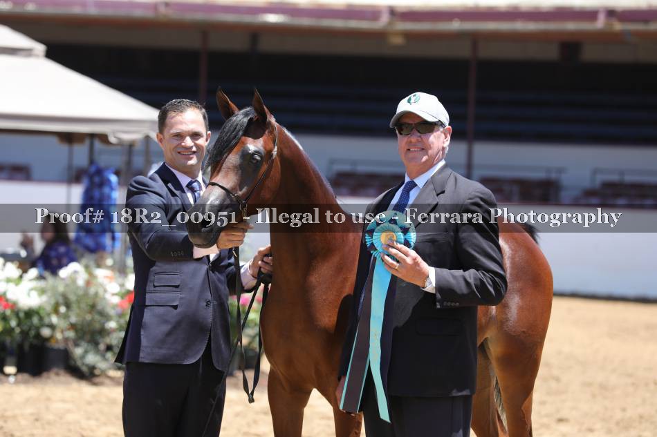 Proof 18R2_00951