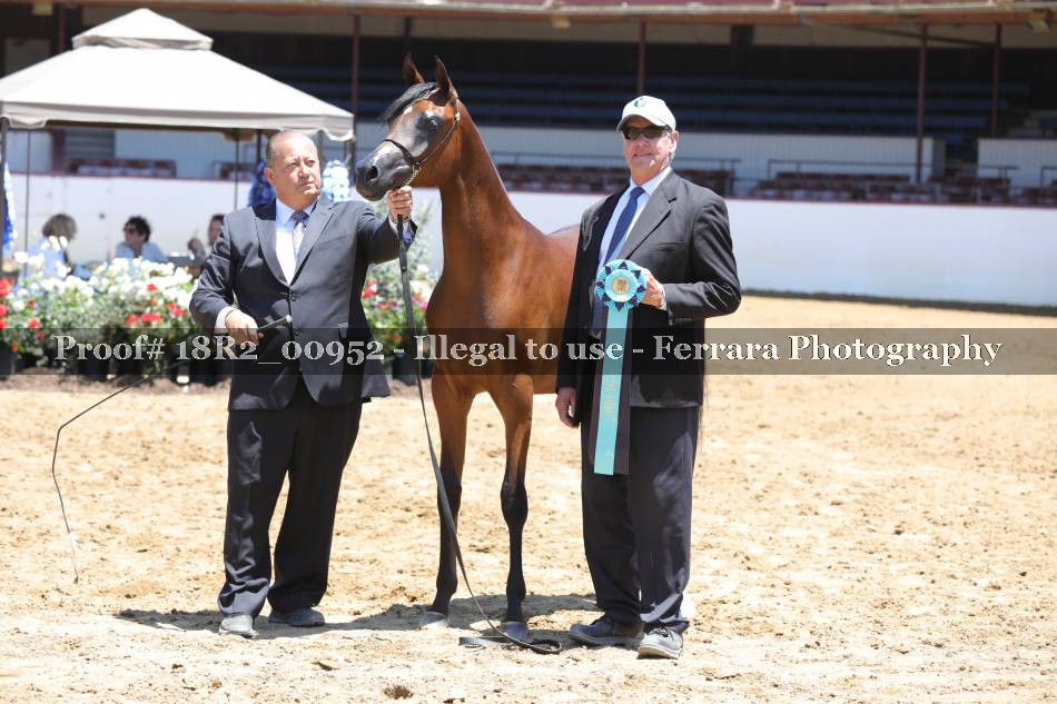 Proof 18R2_00952