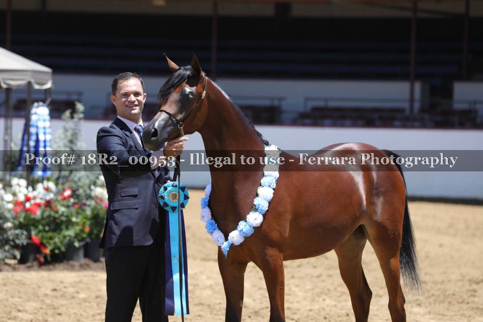 Proof 18R2_00953