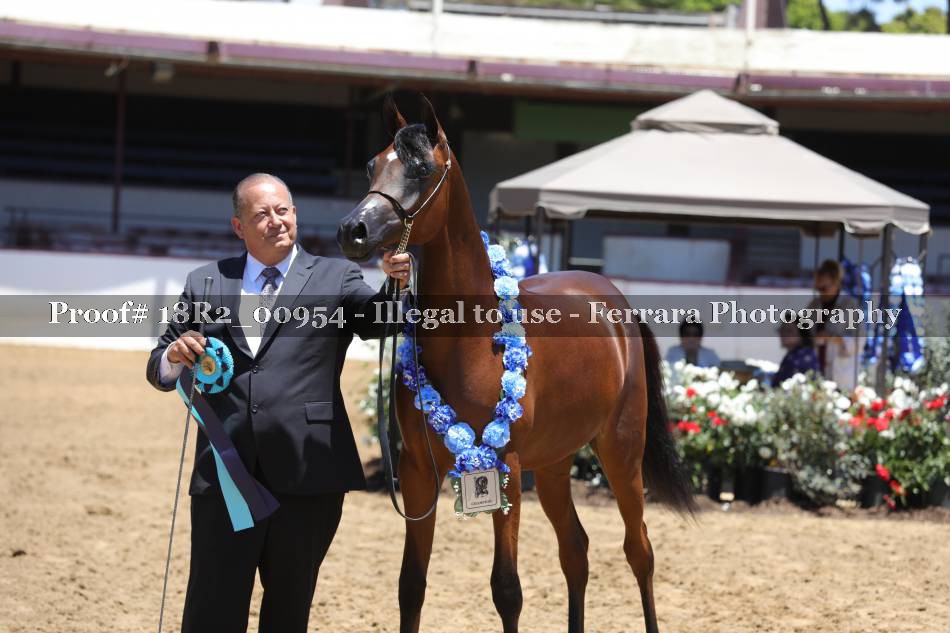 Proof 18R2_00954