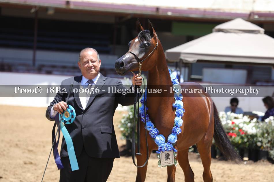 Proof 18R2_00956