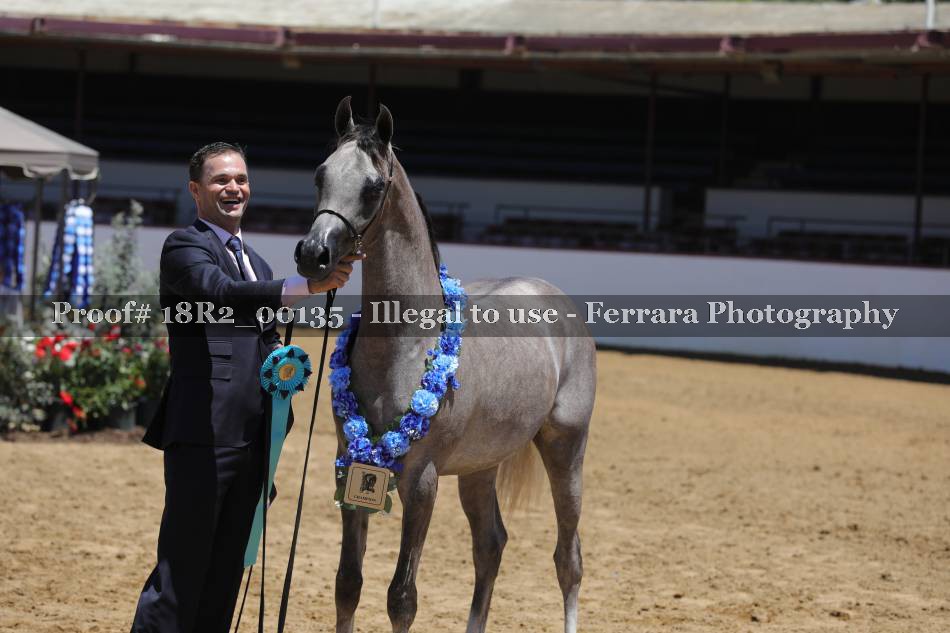 Proof 18R2_00135