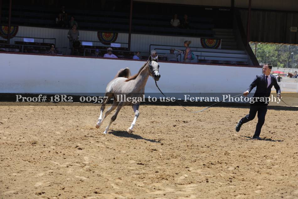 Proof 18R2_00957