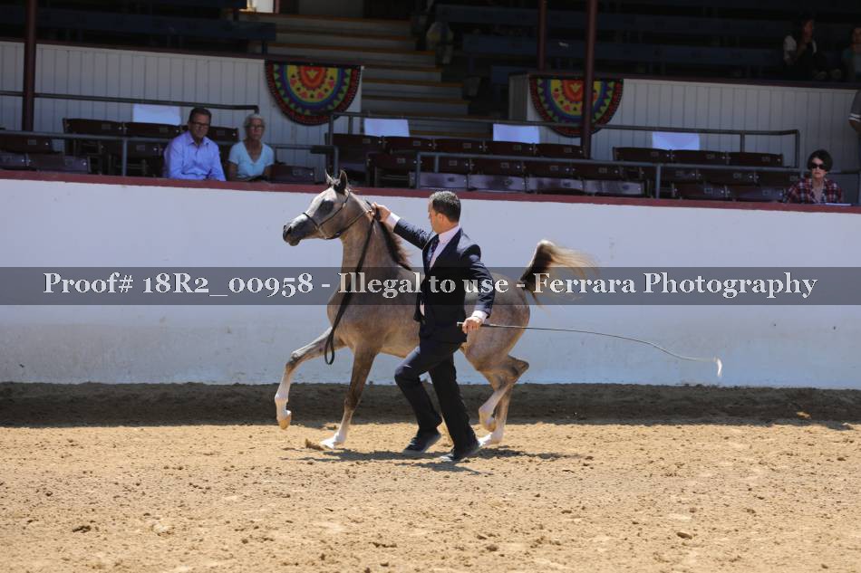 Proof 18R2_00958