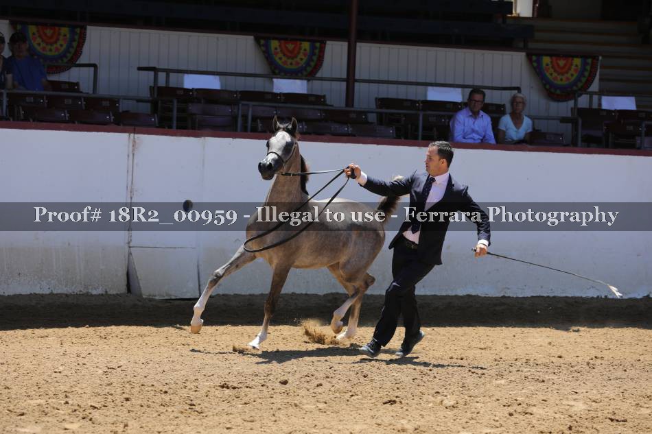 Proof 18R2_00959