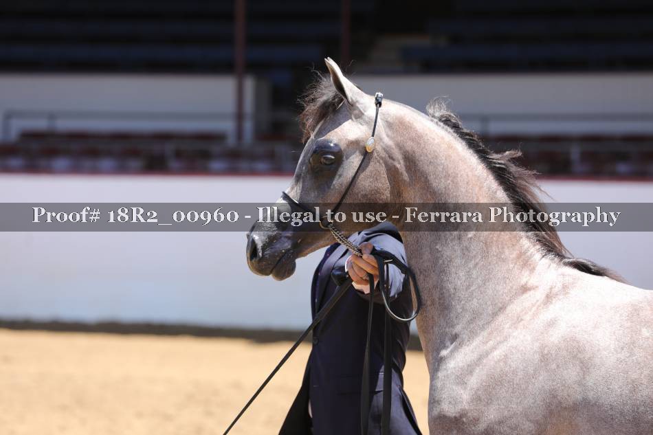 Proof 18R2_00960