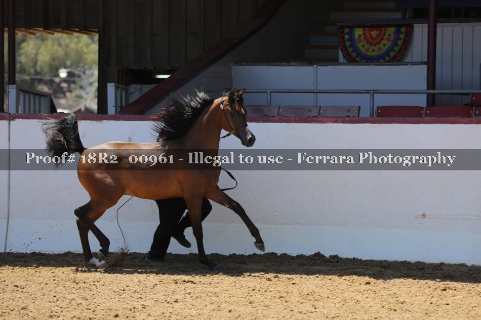 Proof 18R2_00961