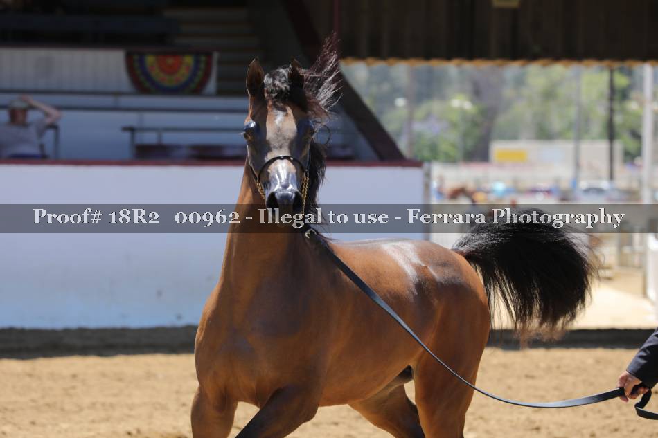Proof 18R2_00962
