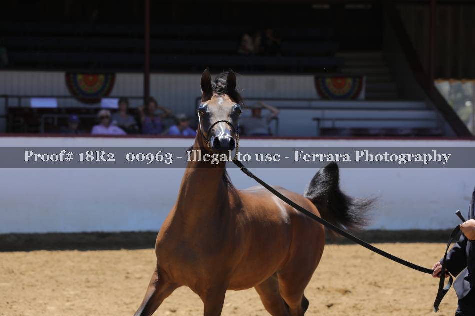 Proof 18R2_00963
