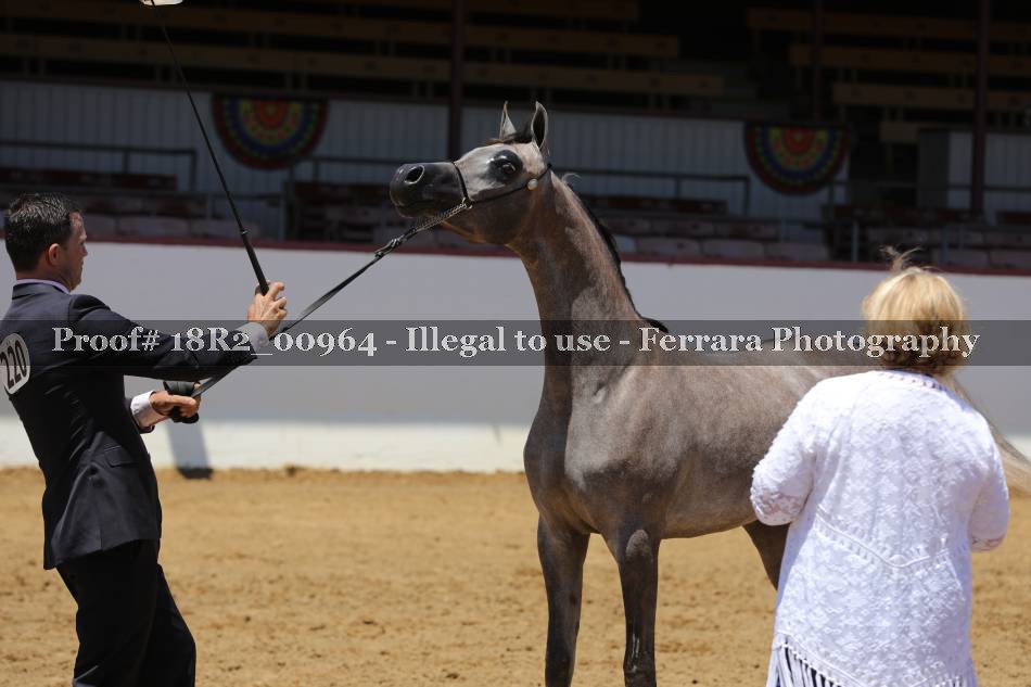 Proof 18R2_00964