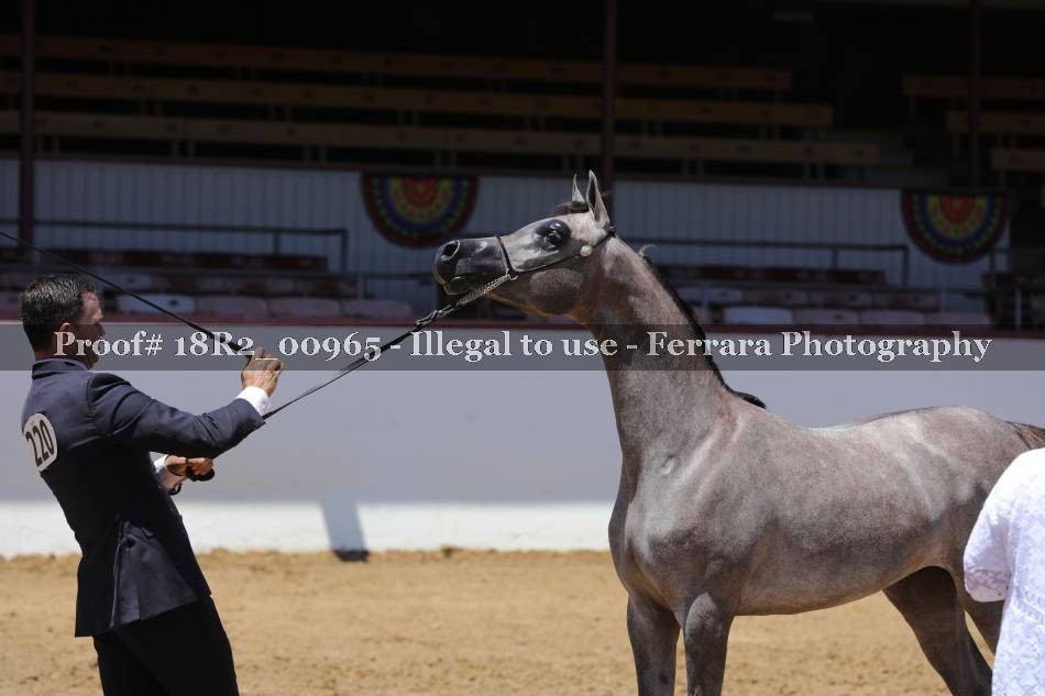 Proof 18R2_00965