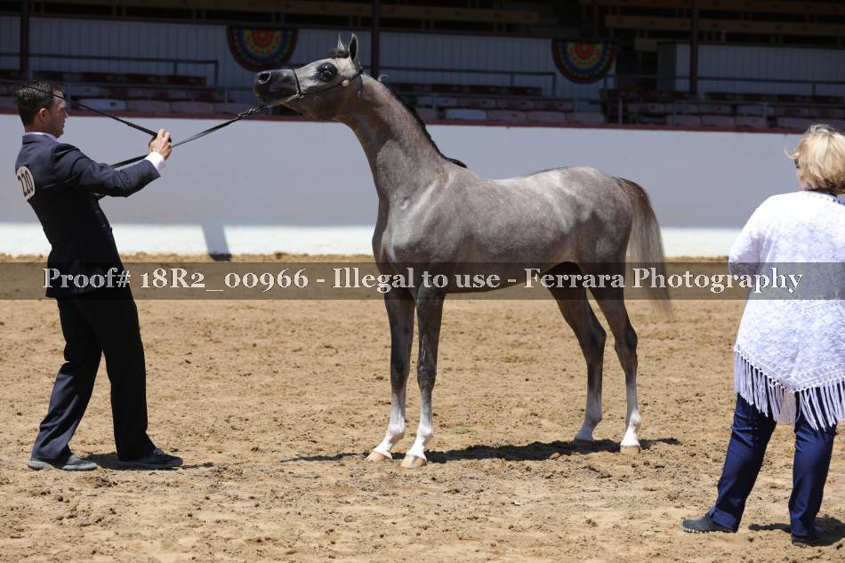 Proof 18R2_00966