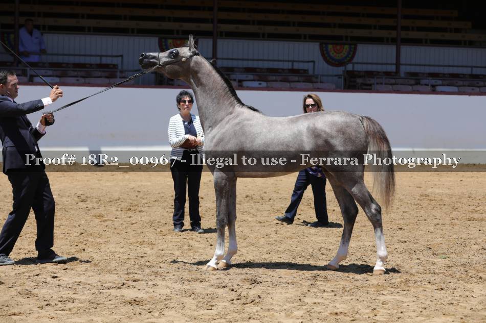Proof 18R2_00967