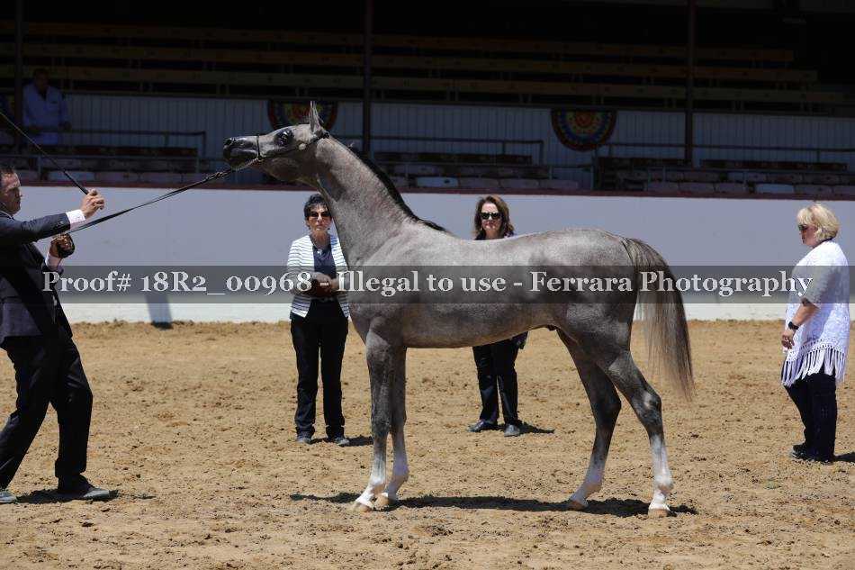 Proof 18R2_00968