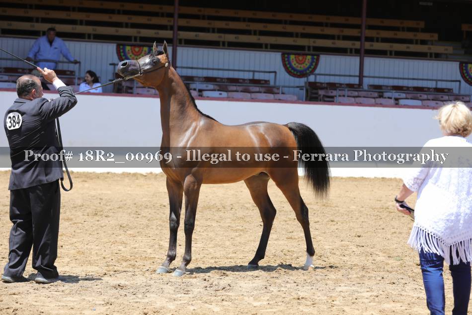 Proof 18R2_00969