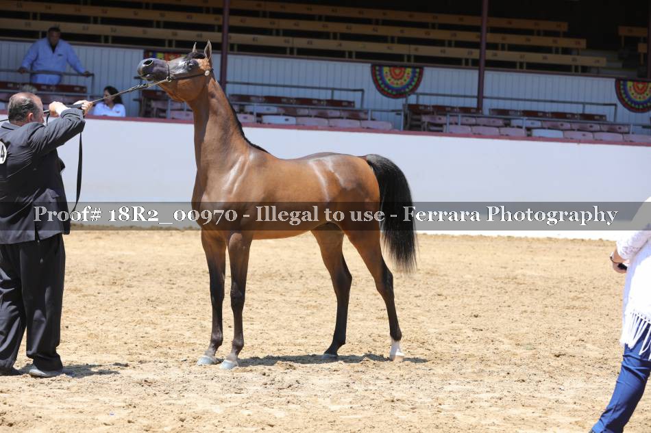 Proof 18R2_00970