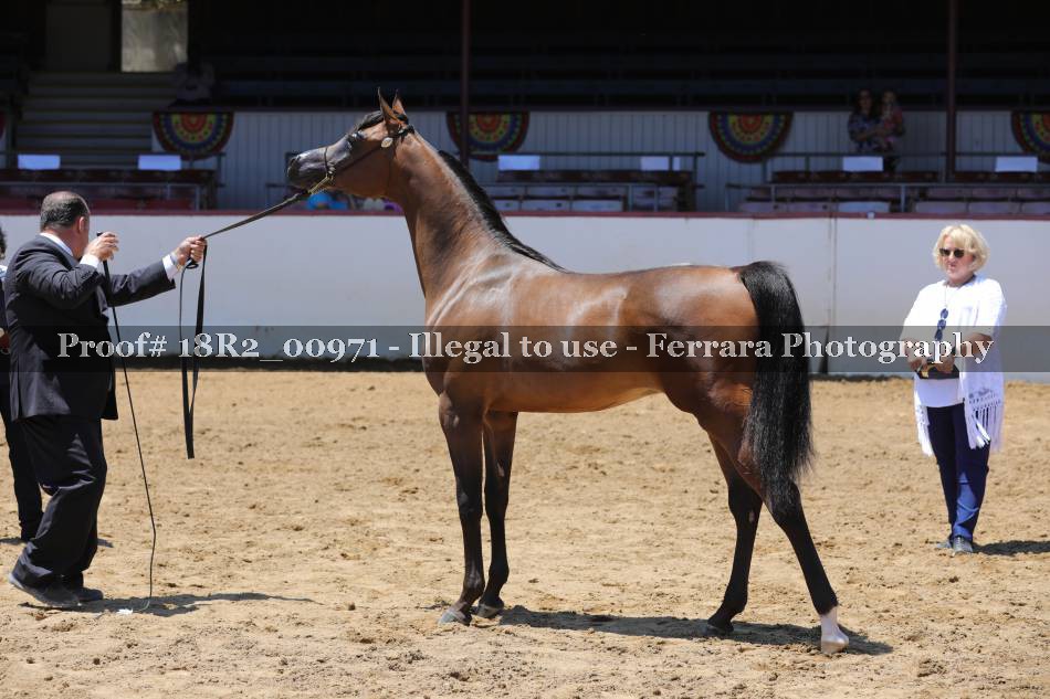 Proof 18R2_00971