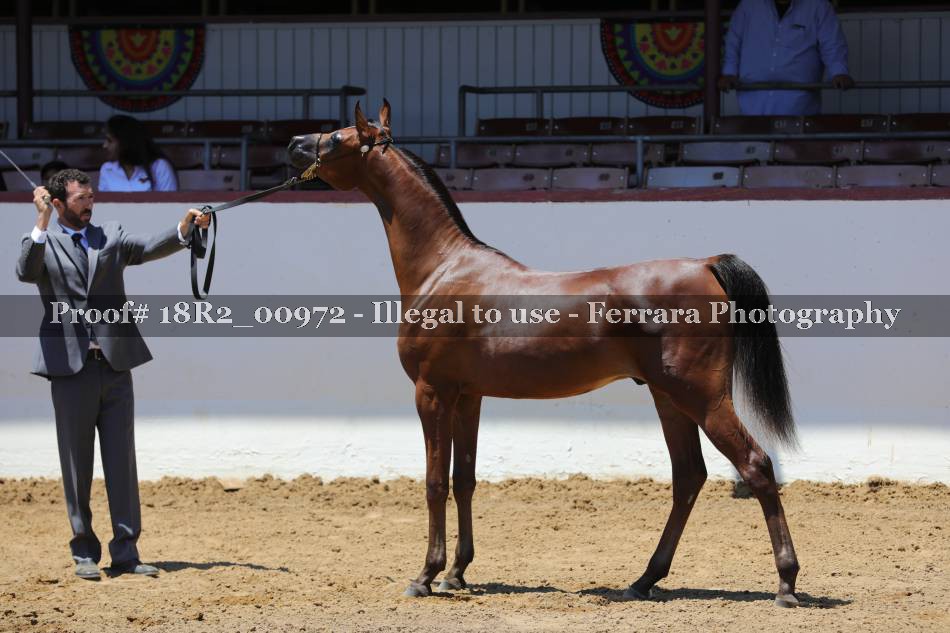 Proof 18R2_00972