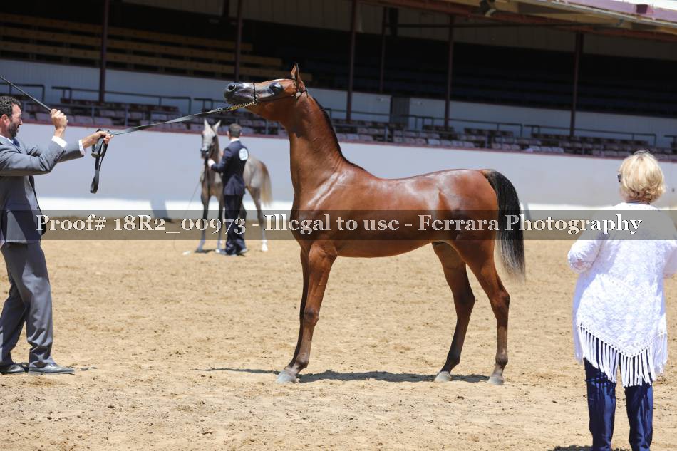 Proof 18R2_00973