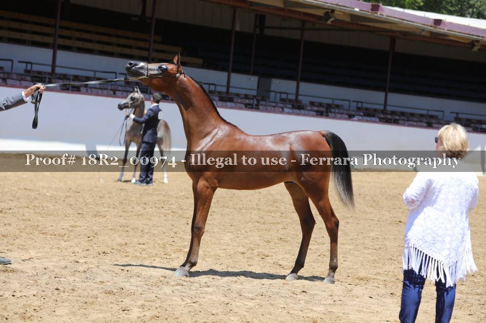 Proof 18R2_00974
