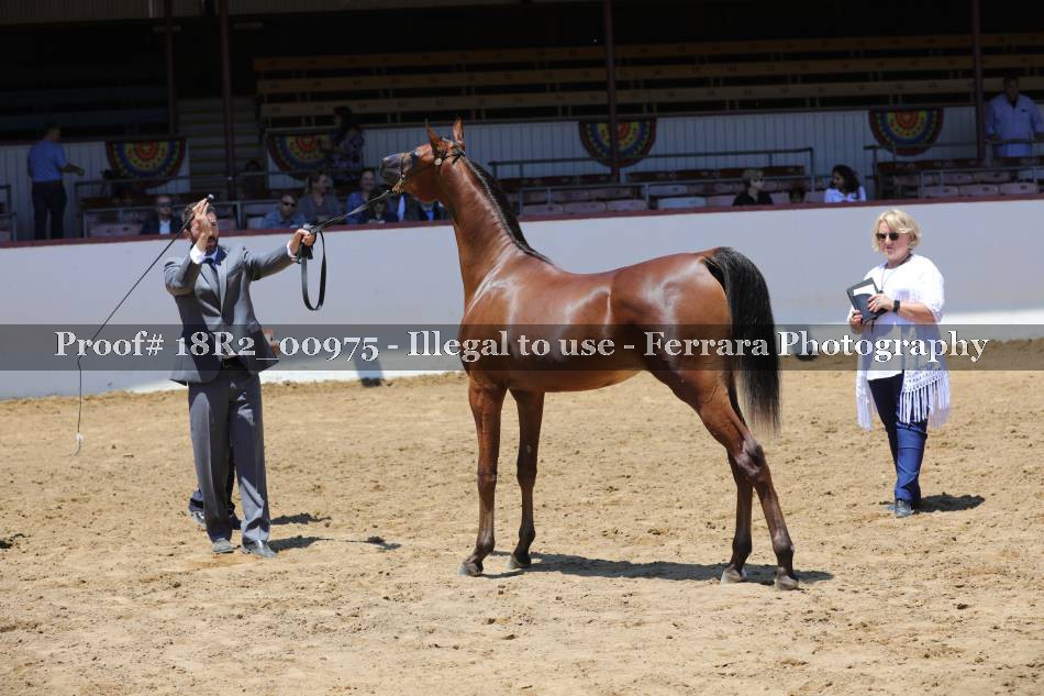 Proof 18R2_00975