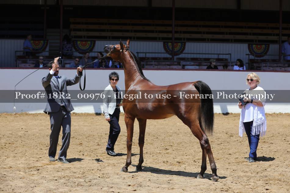 Proof 18R2_00976
