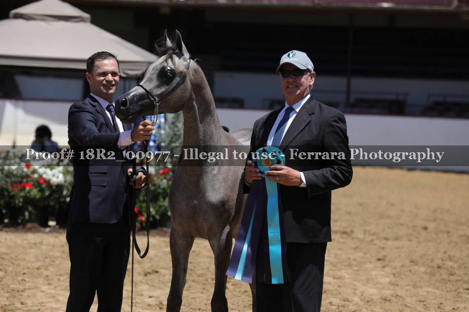Proof 18R2_00977