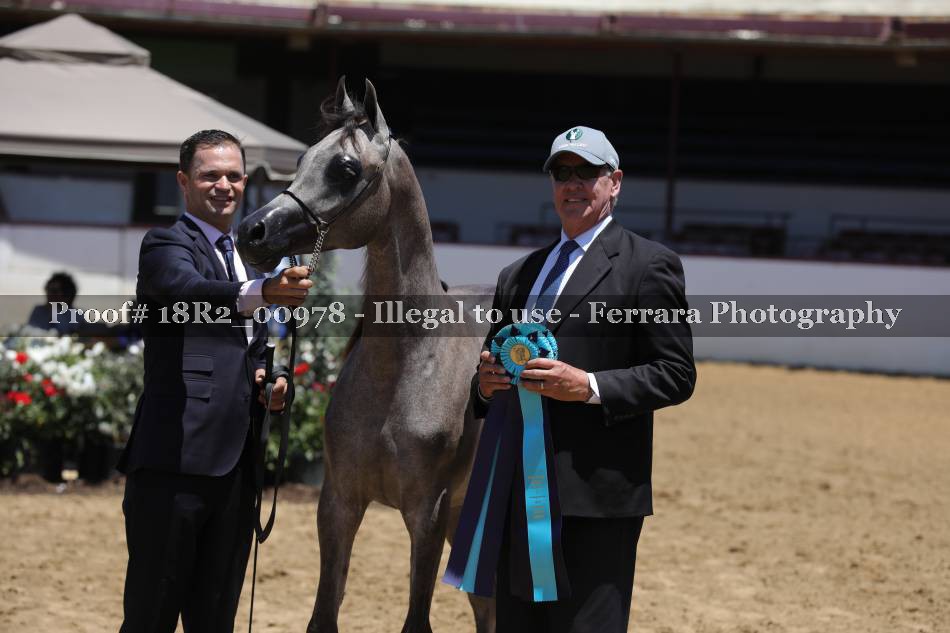 Proof 18R2_00978