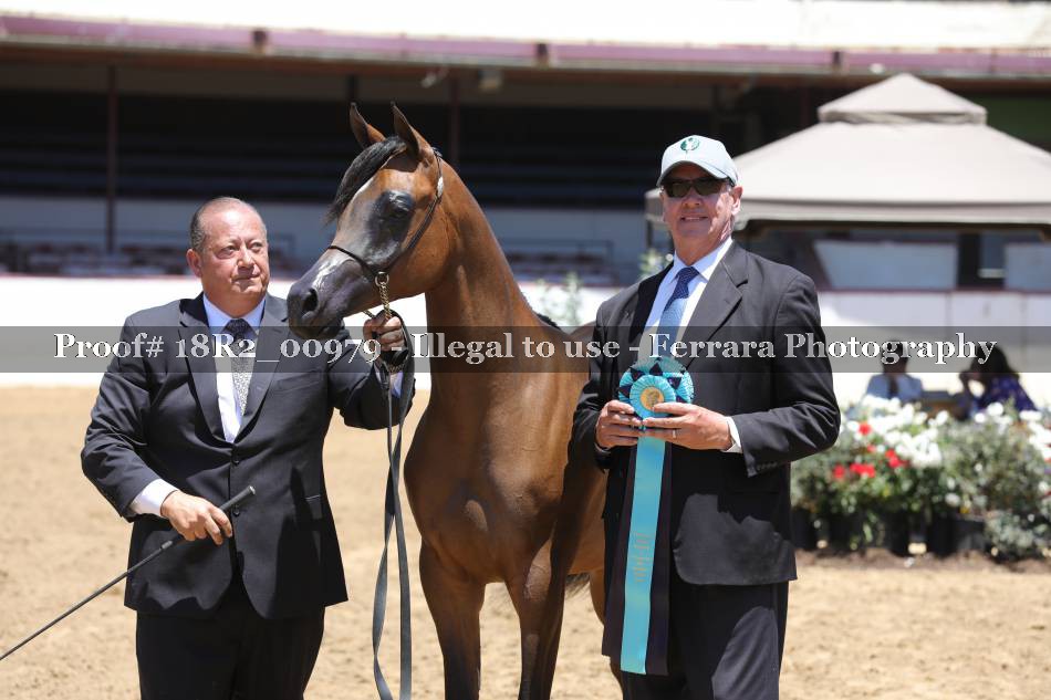 Proof 18R2_00979