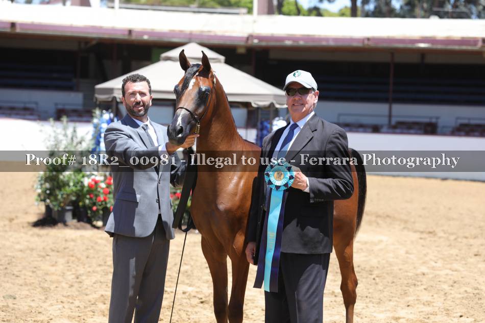 Proof 18R2_00981