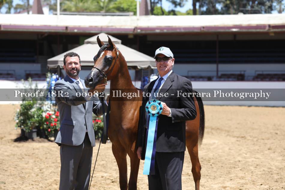 Proof 18R2_00982