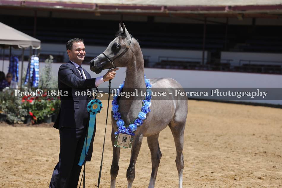 Proof 18R2_00985