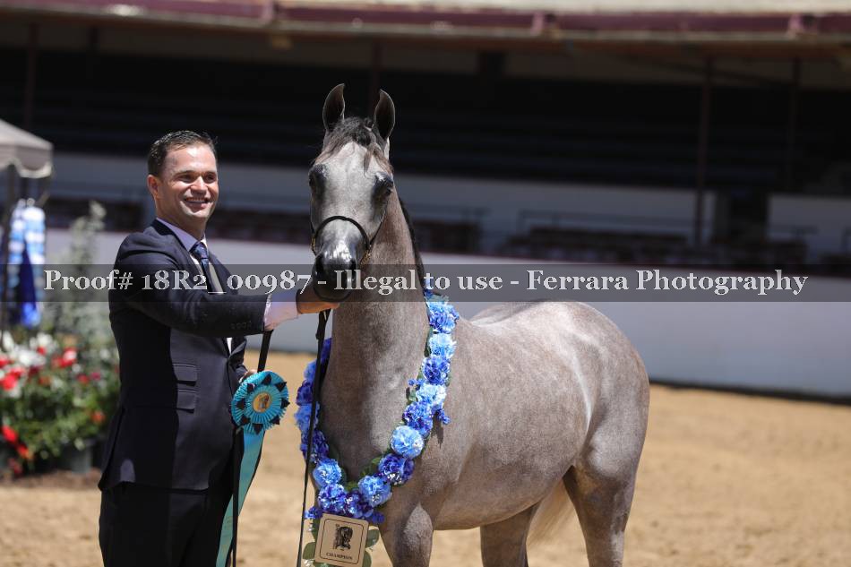 Proof 18R2_00987
