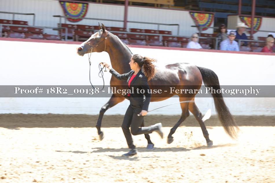 Proof 18R2_00138