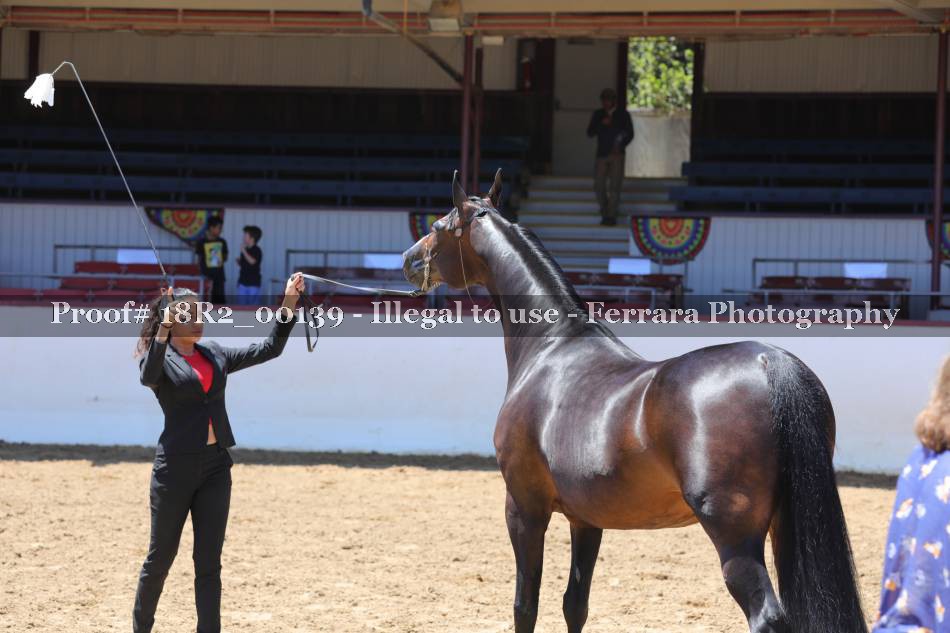 Proof 18R2_00139