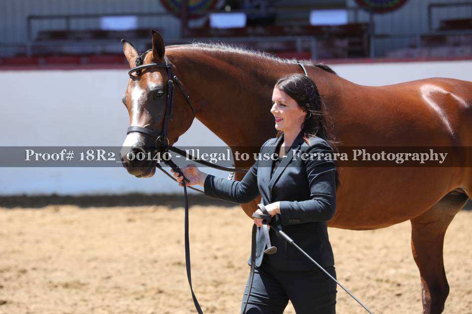 Proof 18R2_00140
