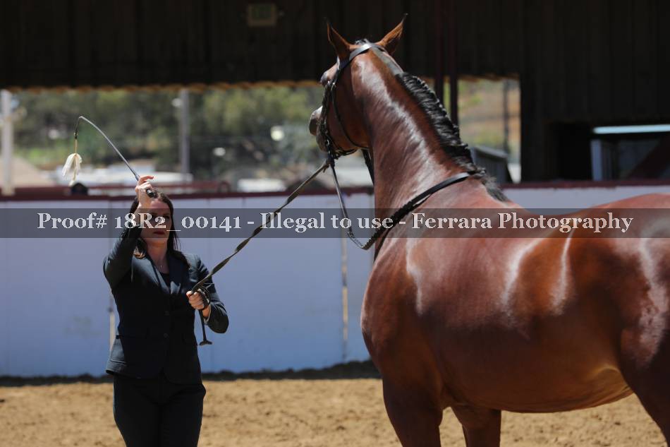 Proof 18R2_00141