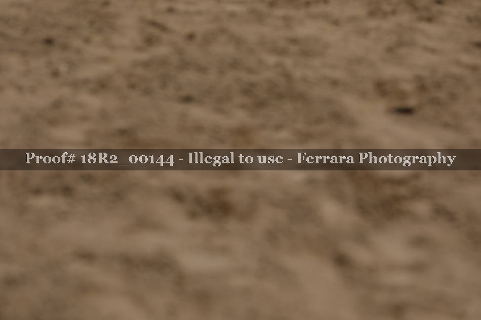 Proof 18R2_00144