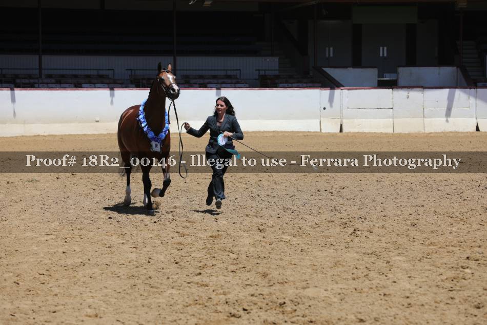 Proof 18R2_00146