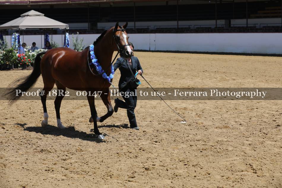 Proof 18R2_00147