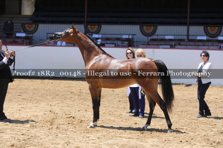 Proof 18R2_00148