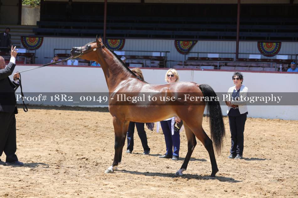 Proof 18R2_00149