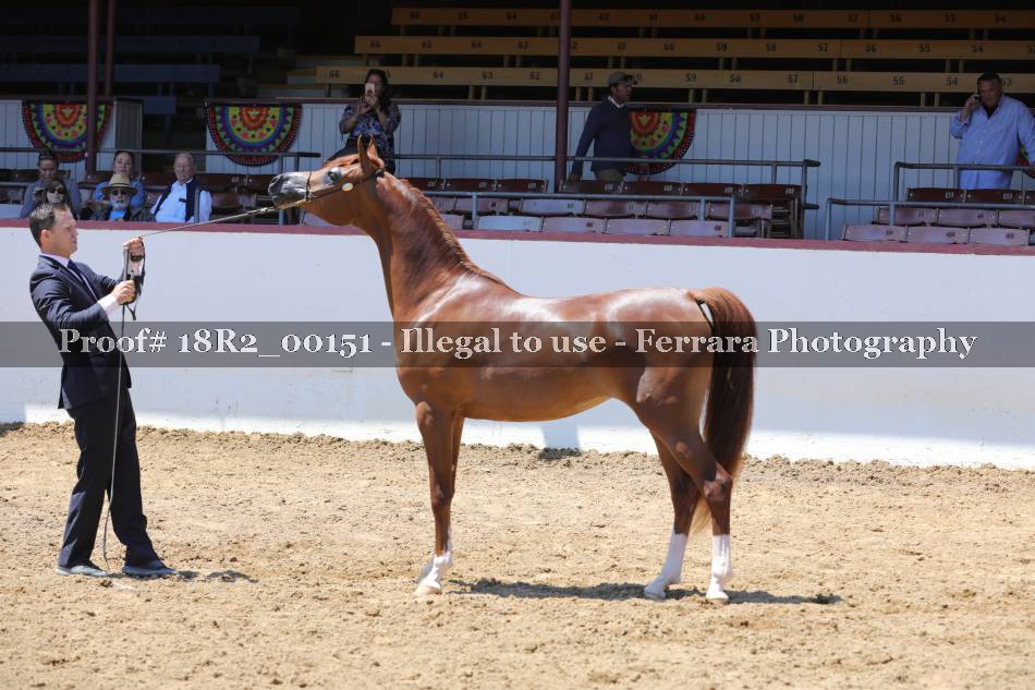 Proof 18R2_00151