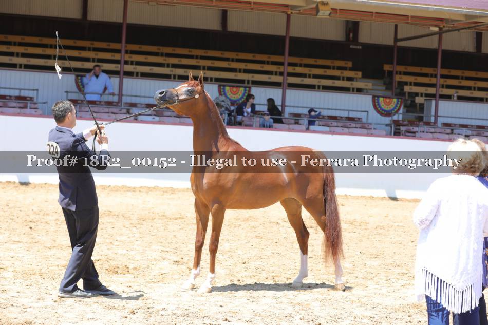 Proof 18R2_00152