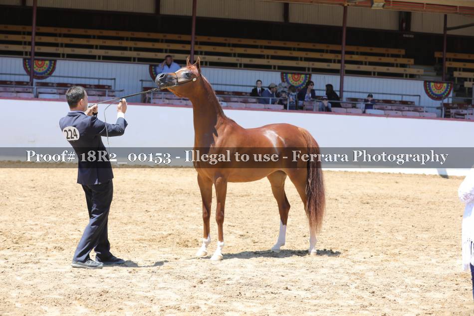 Proof 18R2_00153