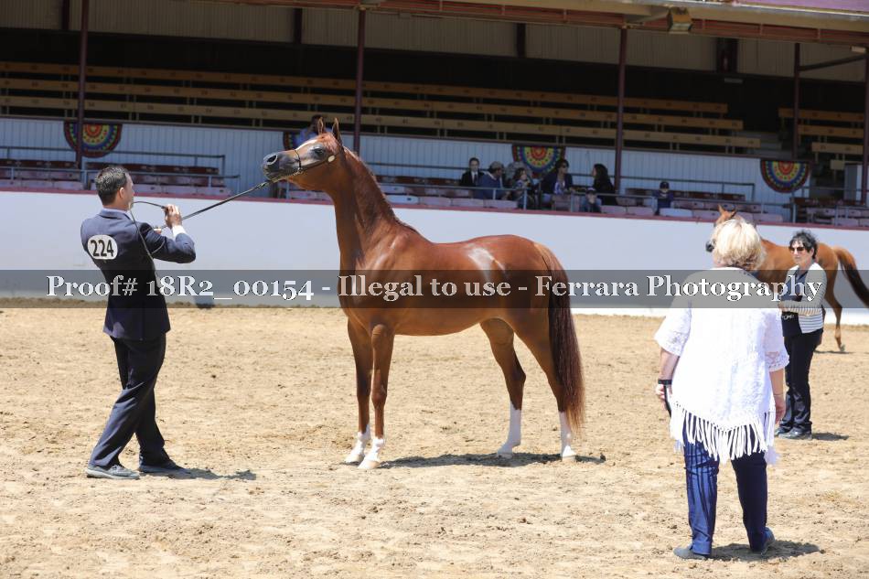 Proof 18R2_00154