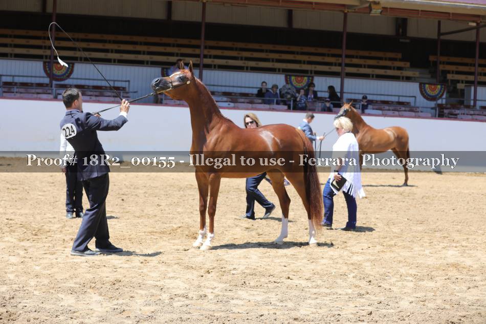 Proof 18R2_00155