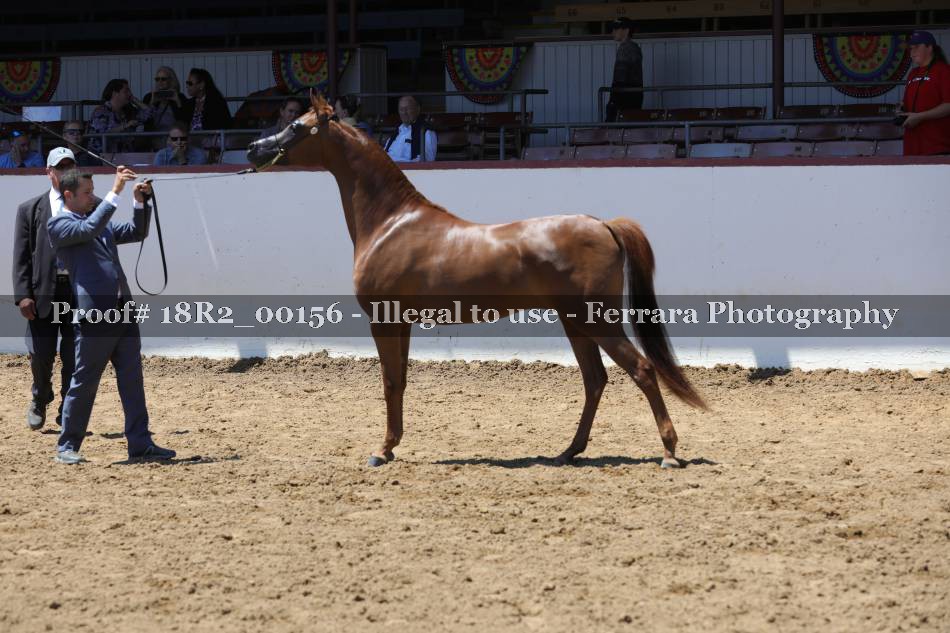 Proof 18R2_00156
