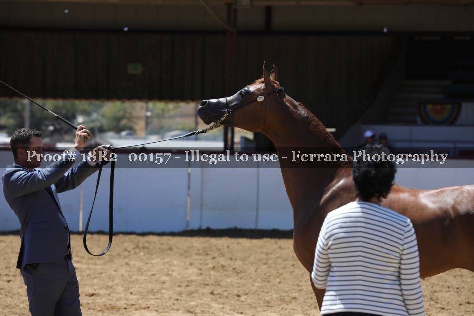 Proof 18R2_00157